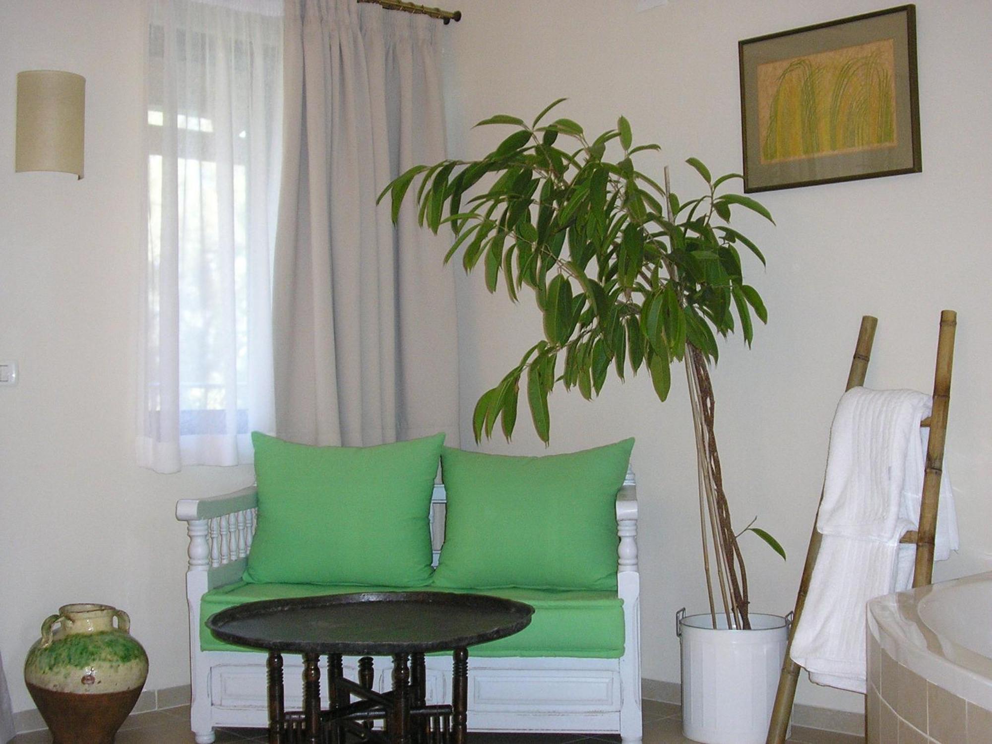 Hotel Shulamit Yard Rosch Pina Exterior foto