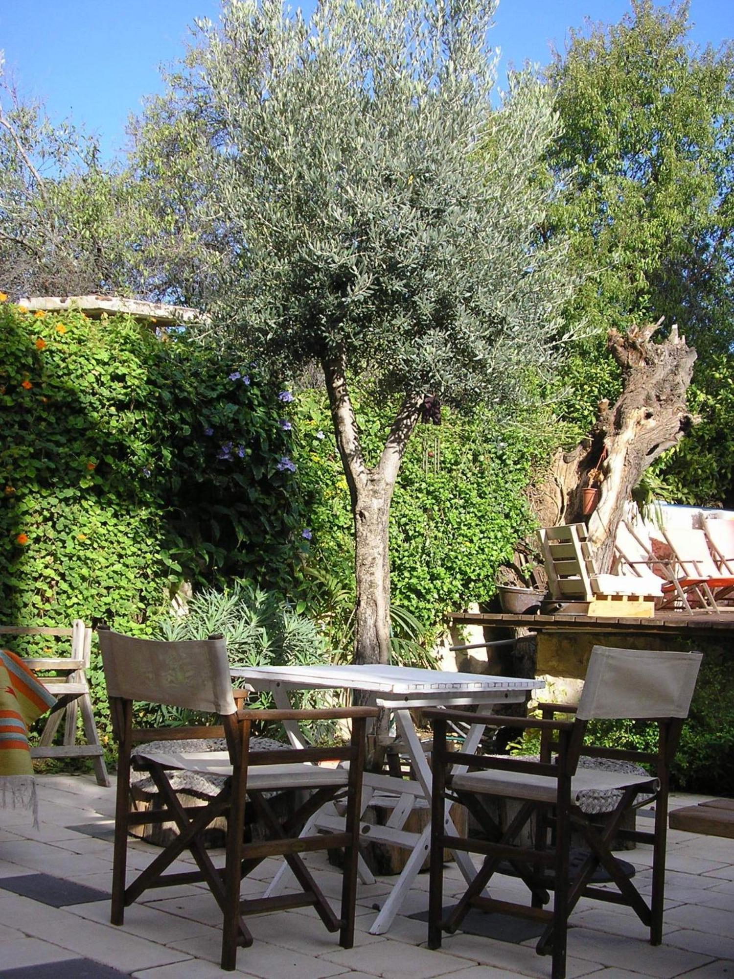Hotel Shulamit Yard Rosch Pina Exterior foto